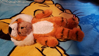 Plushie Collection [176]: 15" The Cuddle Factory Bear/Tiger