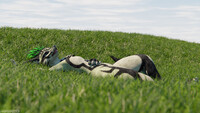 Laying in grass (2)
