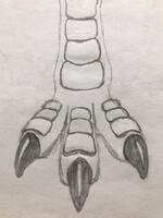 Carnosaur Foot
