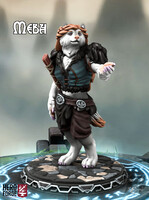 Mebh the Viking female