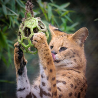 There was something tasty inside