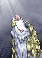Chilling rain