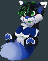 Pawbs DakotaFox141