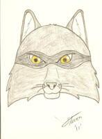 Work Drawing: Raccoon