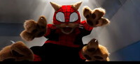 SPIDER-Cat