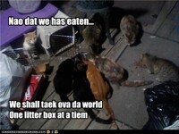 What they're REALLY thinking...