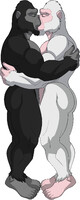 Gorilla Kiss