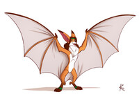 [Not my art] Flyingfox (Art by Zarakon)