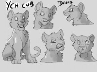 YCH-Little Cub- CLOSED
