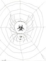 Feb 6 draw every day submission