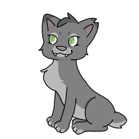Warriors Challenge: BuckPaw