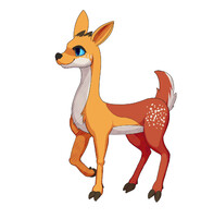 Cali deer