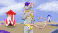 Mouse in Bikini