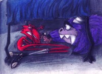 Night Terrors
