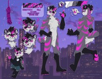 Character sheet: Meeko