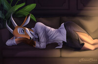 commission Mr_Pebbles111