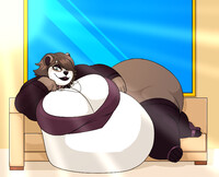 Bear lounging