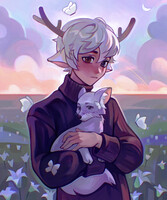 Little fox