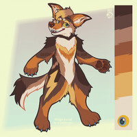 coyote design comm