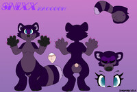 Snixx Raccoon