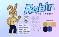 Robin the Rabbit