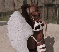 Angel Part 2