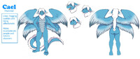 Cael Thunderwing [Flammie] Ref Sheet