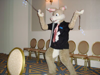 Raver Rabbit