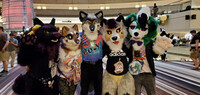 FWA2023 - Introduction