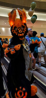 FWA2023 - Firebrand
