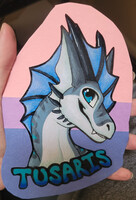 Tusaris pride badge