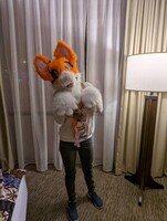 Midwest Furfest 2022 Hotel Room