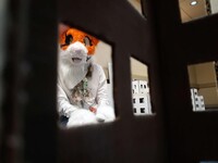 FurSquared Macro Photography (Hiding in the Building)