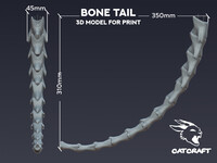 3D model Bone Tail