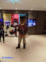 CFZ 2023