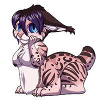 Streambean-Catnamedfish