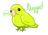 Nugget