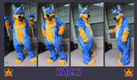 Hachi Fursuit