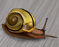Snail speedpaint