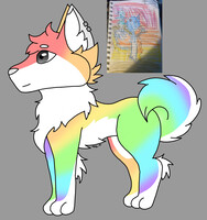 Rainbow puppy!