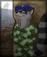 Deployed Masshole