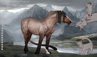 Equilion Adopt Auction (Closed!)