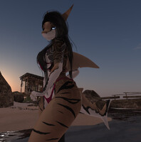 Evening Sun