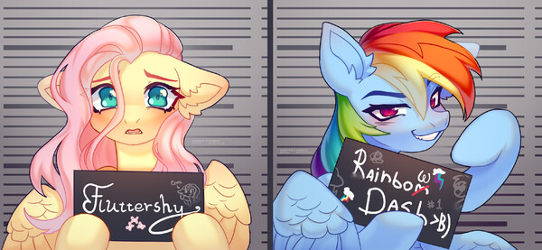 fluttershy x rainbow dash