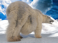 Meet Polar bear 2 HQ by AM B