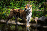 Is it ok to swim yet?