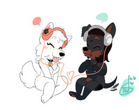 $ mini lrd pair comm