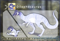 Dilophosaurus #Dinos1