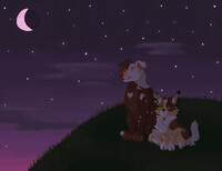 Midnight