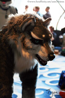 FC 2011: Wolf Quad